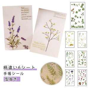 V[V[g _CJbg LV[ A ԑ ԕ ^ ^ R[Wf e fR[V 蒠V[ Ԃт DIY CX^ t[NV[ lK tB ii