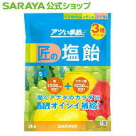 【13日〜15日はサラヤの日・ポイント10倍】サラヤ 匠の塩飴 2kg 約465粒 - 飴 塩飴 塩あめ あめ アメ し…