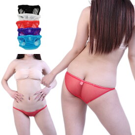 スケスケ シースルー スキャンティ 極小 極浅 ショーツ パンティ セクシーショーツ 下着 ランジェリー レディース ラポーム La-pomme 112041