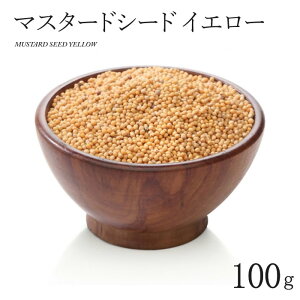 }X^[h V[h CG[ 100g MUSTARD SEED YELLOW Ch XpCX Ɩp e hyT^[WzySARTAJzy[4܂OKz