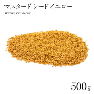 }X^[h V[h CG[ 500g MUSTARD SEED YELLOW Ch XpCX Ɩp e hyT^[WzySARTAJzy[1܂OKz