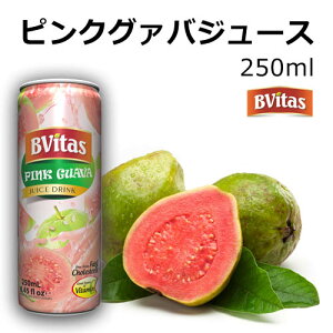 sNO@oW[X 250ml t[c ʃW[X Bvitas rr^X lN^[ pink guava juice Ch Xg 