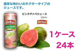 1�P�[�X24�{�s���N �O�@�o�W���[�X 250ml �t���[�c �ʃW���[�X Bvitas �r�r�^�X �l�N�^�[ pink guava juice �C���h ���X�g���� �����y1�P�[�X24�{ (1�{250ml) �z