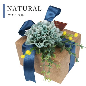 yPiwsz v~A  MtgbsOT[rX  ʕ MtgbsOT[rX v[g IvVT[rX Mtg bsO[蕨 v[g n a 