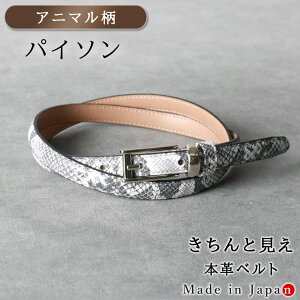 [Aj}] pC\ xg fB[X {v { rWlX אg OL X^CbV 15mm U[xg ߉\ ItBX X[c p s ؊v i  i ꂢ