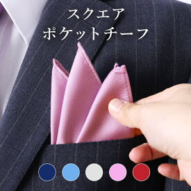 シルキー素材 挿すだけで華やかに 75Dマイクロポリエステル製ポケットチーフ メンズ 無地 紳士用 男性用 フォーマル ブランド おしゃれ パーティー 冠婚葬祭 ドレスシーン 結婚式 クリスマス デート ビジネス 赤 青 紫 紺 ネイビー ] 入学式 [M便 1/30]