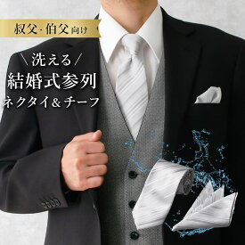 ネクタイ＆チーフセット 紳士 メンズ 男性 結婚式セット ネクタイ チーフ 披露宴 二次会 フォーマル 白 パステル ラメ ストライプ 洗える ウォッシャブル 高級感 ビジネス 仕事 冠婚葬祭 結婚式 パーティ スーツ 誕生日 入学式 成人式 メール便のみ送料無料 [M便 1/3]