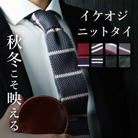 【落ち着いたカラーを厳選】 ニットタイ ネクタイ ニットネクタイ ニット 男 男性 紳士 ナロータイ スリムタイ 秋 冬 細め おしゃれ 男子 かっこいい トレンド ビジネス カジュアル ボーダー ドット チェック 無地 クールビズ メール便のみ送料無料 父親 [M便 1/5]
