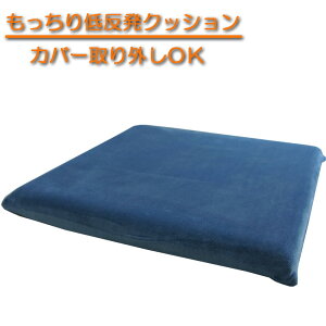 ��������ᔽ���E���^������V�[�g�N�b�V�����@40x40cm�@�l�C�r�[�F�@�y�J�o�[���O��OK�z