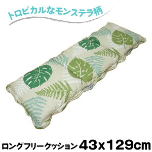 LeBOnOt[NbVuXev 43x129cm O[F