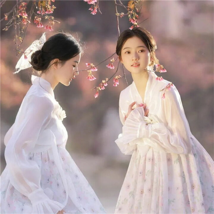 楽天市場】韓国服 韓国ドレス 韓服宮廷風チマチョゴリ 中国朝鮮族服 