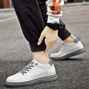 V[Y Xj[J[ JWA V[Nbg  4 6 8 10cmAbv Cq[V[Y HC ʊw ʋ y Y ʋC K _炩 Cq[ ɂ Ȃ  }`TC