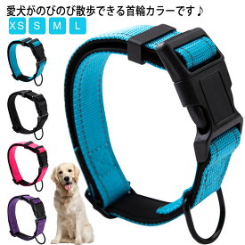 ペット 首輪 ナイロン 軽量 犬 ペットグッズ 犬 用品 お散歩 おしゃれ グッズ カラー 犬のリード 犬の首輪 可愛い 紐 カラフル シンプル ペット用品 犬用品 小型犬 中型犬 大型犬 送料無料