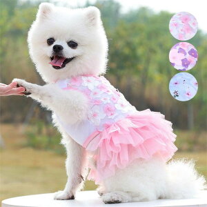 ybgEFA L  ybg s[X ԕ ԏ `[XJ[g hX hbOEFA ybgObY t   L lR ybg ^ ^ 킢 ێ h h  