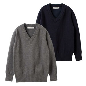 qjbgZ[^[ LbYZ[^[ j̎qZ[^[ tH H hC[ WjA Ȑn  VlbN n fC[ ʊw w Z q i Rbg lCr[ O[ ub