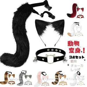 L J`[V    Zbg L   T nEB ߑ nEB RX`[p LRXv ӂӂ L J`[V K RXv ubN zCg 