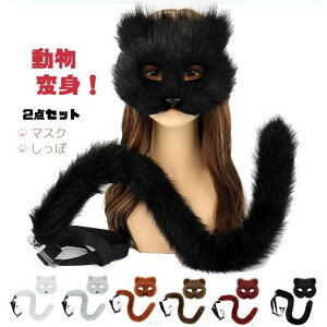 ӂ L tFCX}XN   Zbg L nEB ߑ nEB RX`[p LRXv  K RXv