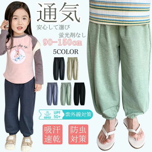 yHΉzqlx100%IOpc LbY H h΍ Y{ q j̎q ̎q jp n q ʋC   悯 100-150cm ʉ ʊw  t ɗD _