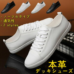 fbLV[Y Xj[J[ {v YC AEghAX|[cV[Y [XAbv j ʋC hCrOV[Y ʋ ʊw JWAV[Y RtH[gV[Y EH[LO