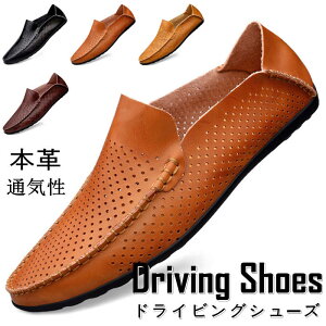 hCrOV[Y ʋC JVV[Y YV[Y {v U[V[Y bVV[Y JWAV[Y t@bV [t@[