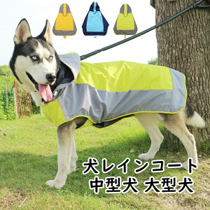   CR[g CEGA ^ ^ ₷   U Jbp  h ~J S[f go[ Č R[M[{[_[R[ uh[ ~J΍ 傫