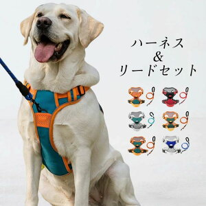 p n[lX ^ ^   [hZbg Zbg ^ ^ ^   ˃e[vt ȒP xg߉ ʋC ɂ EȂ U o JoLx 