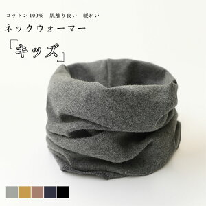 lbNEH[}[ LbY q qǂ Xk[h jbg Rbg100 100 `N`NȂ h ۉ {[ H ~ G̗ǂ Lk g y n Vv jp jZ