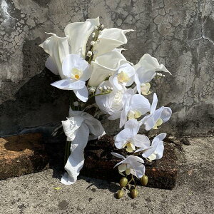 EFfBOu[P EGfBOu[P I_JCE LXP[hu[P uC_u[P ԉ u[P  ؂₩  񎟉 I zCg 