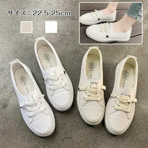 C Xj[J[ fB[X [Jbg V[Y  pvXXj[J[  y ₷ pvXXj[J[ ₷  ʋ ʊw y PU Vv qR[fBl[V