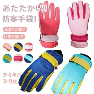 p Xm[O[u q qǂ LbY XL[ Xm{[ h O[u h ۉ EB^[X|[c AEgbg ܖ{w  Xm[{[h XL[pi hO[u ph 