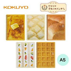 10NLO \tgOm[g 炩x[J[ A5 5mmr 80 ㎿