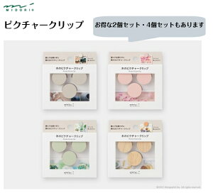 ~h sN`[Nbv ؐ ǂɌJȂ ݃J[ i` O[ sN O[