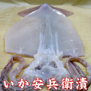 qЁi݂j1 yŒZ͂ Hiz Y ȒP pI  ܂ ̍ ٓ CN Ђ  ^pbN CJ G
