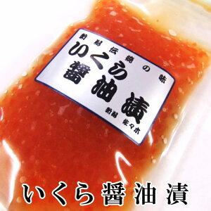 VR Y ݖЂ 500g(100g×5) yŒZ͂ Mtg v[g Hi z ȒP pI   ܂ ̍ CN Ђ  pbN CN ݖ  kC