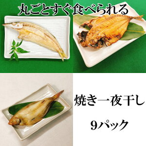 yVR Yz Ă銱9pbNiiMJCAA܂e3j yŒZ͂ Mtg v[g Hׂ ς Hi 퉷ۑ z Ε  hV̓ 