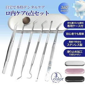歯石取り 歯石とり プロ用 歯石取 除去 歯石を自分で取る オーラルケア デンタルケア 在宅 自宅用 器具 スケーラー 歯石 歯 ヤニ取り しこう取り デンタルケア 6点セット 3色選べる 敬老の日 ステンレス製 先極細 デンタルツール