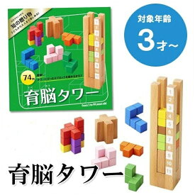 育脳タワー 知育玩具 3歳 木のおもちゃ 木製 知の贈り物 プレゼント 誕生日 ブロック パズル ウッドトイ 出産祝い 送料無料 入園祝い 子供 こどもの日 キッズ ギフト 積み木 立体 パズル ブロック 形合わせ モンテッソーリ教具 頭脳ゲーム 贈り物