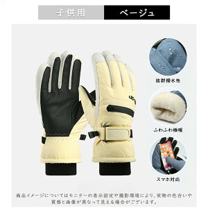 スキーグローブ メンズ レディース 防寒 防水 スマホ対応 スノーボード 手袋 暖かい 5本指 撥水 防風 アウトドア 登山 自転車 バイク 雪かき スポーツ 冬 防寒具 滑り止め 通勤 通学 ジュニア
