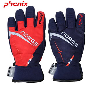 フェニックス【PHENIX】2020-21秋冬モデル Norway Team グローブ PSAG8GL81(ジュニア・キッズ)手袋 グローブ