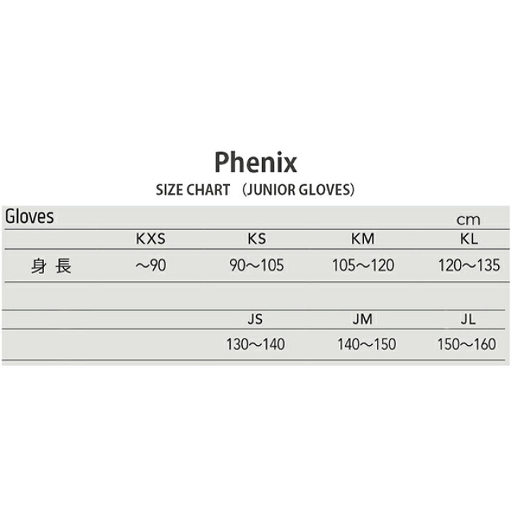 無料配達 フェニックス PHENIX スキー グローブ ジュニア Demonstration PSAG8GL71 RB2 キッズ 手袋 雪遊び rmladv.com.br 無料配達 フェニックス PHENIX スキー グローブ ジュニア Demonstration PSAG8GL71 RB2 キッズ 手袋 雪遊び rmladv.com.br