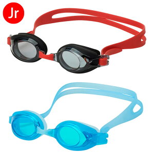 A[i geB WjA S[Oim~߁AWAFj AGL-4100J j XC ዾ ̈ v[