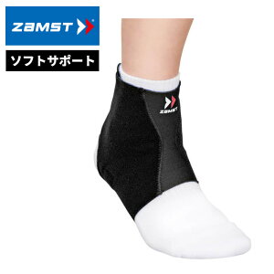 UXg FA-1 pT|[^[ Ep X|[c ^ o[ oXP Z  ߉\ T|[g ʋC 