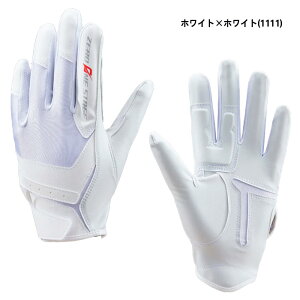 y[։z[bg [Xe[W p WjAp Ўp BG29632J 싅 x[{[ Ci[O[u N싅