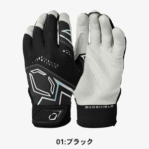 y[։zG{V[h lp Pro-SRZ V2 obeBOO[u WB57305 01 05 ubN zCg p  싅