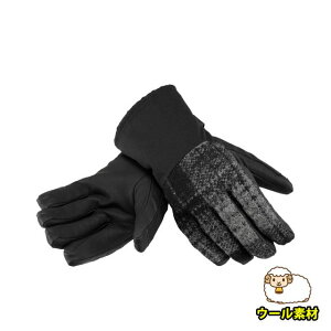 yBLACKFRIDAYԒP5{zUEm[XEtFCX (THE NORTH FACE) H~ AEghA DENALI SE WOOL GLOVE fiSEE[O[uijZbNXjubN  NN61432 K h 
