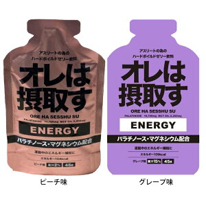 ySSԒSiP5{zy[։z_Cg[Y I͐ێ悷 GlM[WF 301200 s[` 311200 O[v Tvg jO WMO g[jO 45g