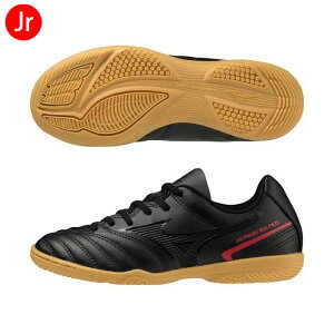 ~Ym iV[_ lI 2 ZNg WjA ChA Ch P1GG222500 L 3E TbJ[ g[jOV[Y gV[ K   LbY q C ubN 