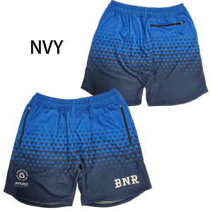 y[։z{l[ CgIX XEFbg n[tpc BNR-SW057HP TbJ[ tbgT V[gpc