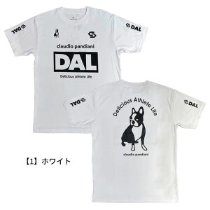 y[։zTbJ[WL[ DAL Dry TEEiWjATCYLjCP25A12 CP25A12K LbY l TVc ^ X|[c tbgT TbJ[ vVc EFA