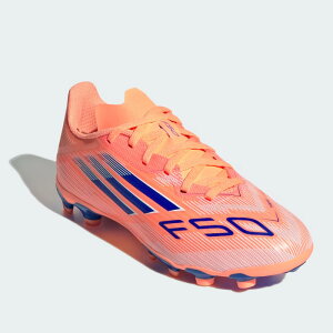 yBLACKFRIDAYԒP5{zAfB_X F50 [O HG/AG LbY JH7751 yElHŗp TbJ[ XpCN WjA q